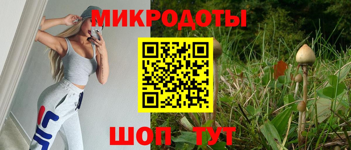 Псилоцибиновые грибы Psilocybe Арзамас