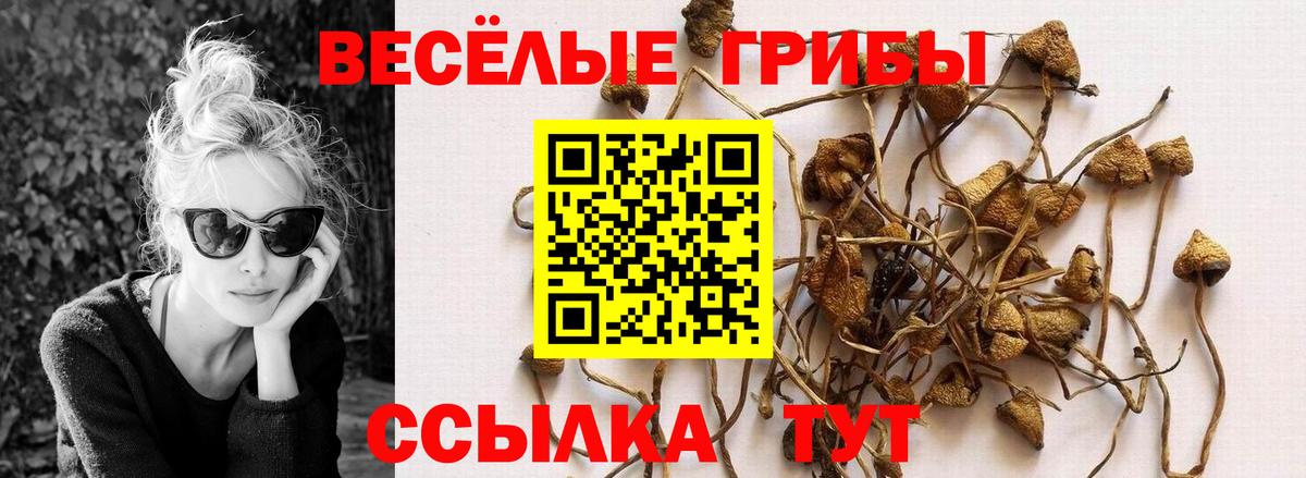 Арзамас  Галлюциногенные грибы Psilocybe  Псилоцибиновые грибы ЛСД  Вход с VPN 